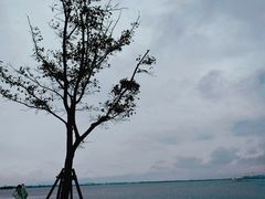 -滴水湖