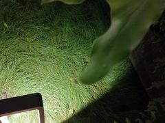 -去茶山(新光里店)
