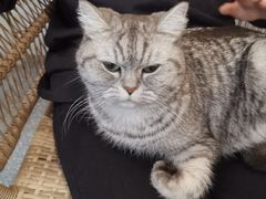 -共舞时光猫咖·狗咖(新街口店)