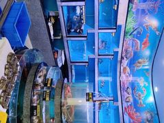 -迎喜海鲜酒楼(鹏森·海纳中心店)