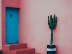 -漳州滨海火山岛自然生态风景区