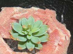-捞王锅物料理(金华义乌之心店)