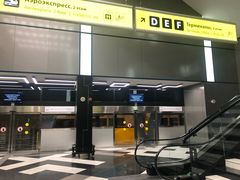 -谢列梅捷沃国际机场