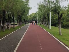 -艾溪湖湿地公园