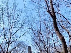 -上海佘山国家森林公园天马山园