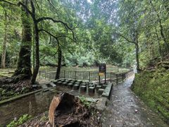 -云南屏边大围山国家公园