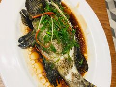 清蒸石斑鱼-泰华海鲜中餐厅(普吉镇店)