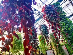 -常州花鸟园酒店(西太湖品牌优选店)