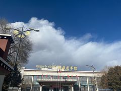 -西藏自治区图书馆