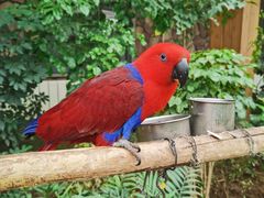 -南宫五洲植物乐园