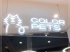 -COLOR PETS 撸猫馆·购猫·猫咖(长风大悦城店)