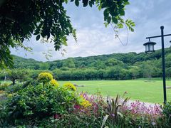 -苏州上方山国家森林公园