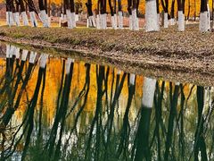 -长白岛森林公园