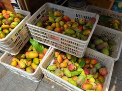 -港华水果街(港华广场店)