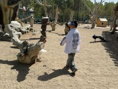 -水上乐园·欢乐世界