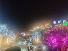 -枇杷园食为鲜火锅(南山店)