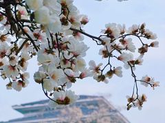 -南京晨光1865创意产业园