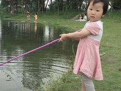 -两河城市森林公园