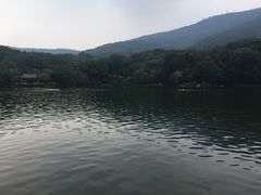 -紫霞湖公园