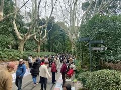 -人民公园-相亲角