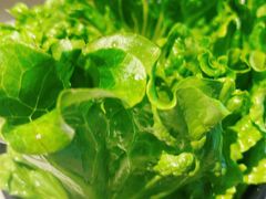 -东椰·海南椰子鸡火锅(朝阳门店)