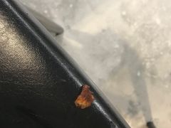 -刘记光大火锅鸡(北行店)