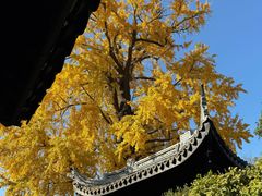 -阗福斋(惠山古镇店)