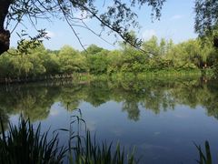 -溱湖国家湿地公园