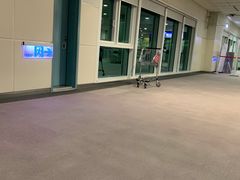 -升恒昌免税商店(桃园国际机场店)