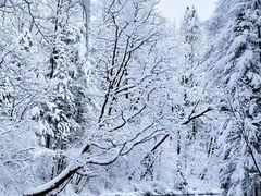 -长白山万达国际度假区