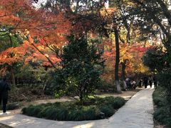 -虞山风景区