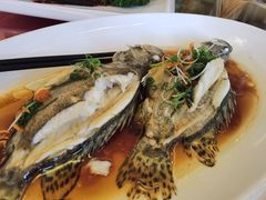 清蒸桂鱼-小竹林农庄