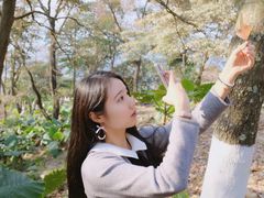 -广州市石门国家森林公园