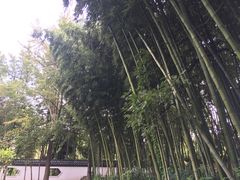 -水绘园