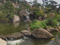 -罗红摄影艺术馆