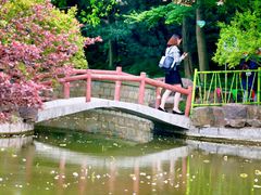 -嘉定紫藤园