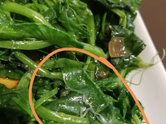 -眉州东坡(民族园店)
