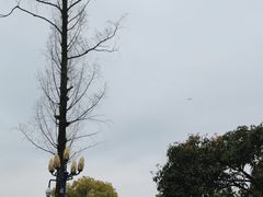 -杭州西湖柳莺里酒店