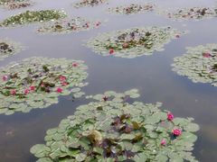 -处女泉风景名胜区
