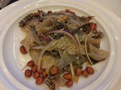 凉拌鱼皮-顺德人家食府(黄金广场店)