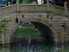 -龙潭水乡
