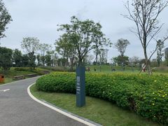 -府河摄影公园