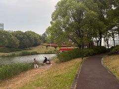 -美兰湖景区