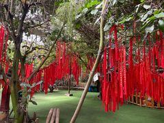 -呀路古热带植物园