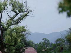 -良渚古城遗址公园