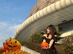 -灵玲国际马戏城