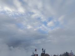 -长虫山生态公园风景林