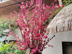 -王捌小院(红花坡店)