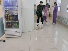 -北京观赏动物医院·24小时大型综合·猫专科·异宠专科