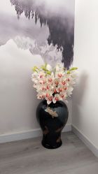 点击看大图 -妍美形体美肌健康管理中心